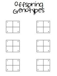 Blank Punnett Square Template Google Search Middle School Science Resources Middle School Science Classroom Punnett Squares