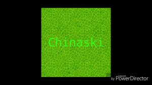 Check spelling or type a new query. Chinaski Kutil Youtube