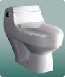 EAGO 1-Piece GPF Dual Flush Elongated Toilet in