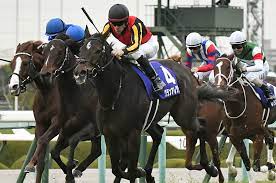 マイルチャンピオンシップ 2020 グランアレグリア 全く同じ理論で、今年の【g1・安田記念】においても、稍重の馬場コンディションの中でも 前半 半マイル：45.7秒 後半 半マイル：45.9秒 ã‚°ãƒ©ãƒ³ã‚¢ãƒ¬ã‚°ãƒªã‚¢ å‰ã‚'å¡žãŒã‚Œã¦ã‚‚ã‚­ãƒ¬ã‚­ãƒ¬ã®æœ«è„šã§ãƒžã‚¤ãƒ«csåœ§å‹ ä»Šå¾Œã¯è·é›¢å»¶é•·ã‚‚ ç«¶é¦¬ Number Web ãƒŠãƒ³ãƒãƒ¼