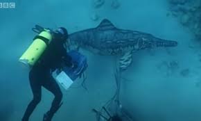 Dinosaurs are so weird looking. Ichthyosaurus Animatronic Used In The Walking With Dinosaurs Documentary Submechanophobia