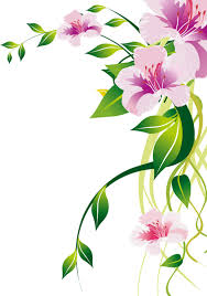 Find illustrations in png, svg from top dribbble artists for your design projects. Pin Su Border Art