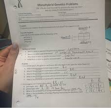 The punnett square is a square diagram that is used to predict the genotypes of a particular cross or breeding experiment. Solved Monohybrid Genetics Problems Eqs Why Do I Look Mo Chegg Com