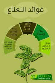النعناع واحد من أشهر النباتات الطبيه المستخدمه لعلاج أمراض مختلفه ومتعدده ويمكن الاستفاده منه بكل صوره سواء مشروب او زيت التواصل علي الرابط التا Herbs Ale