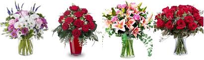 Check spelling or type a new query. The 12 Best Options For Flower Delivery In Colombia 2021