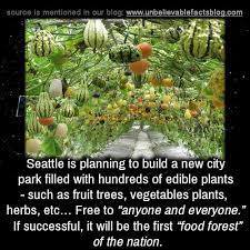 Unbelievable Facts Seattle Is Planning To Build A New City Park Filled With Hundreds Of Edible Plants Such Planting Vegetables Trees To Plant Park City