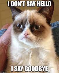 Grumpy Cat Meme Goodbye By Derpy Kitties On Deviantart