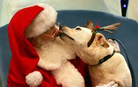 We did not find results for: Paws Claus Kokomo Indiana Visitors Bureau