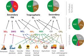 Chemical distributor companies in china. The Fuel Of Atmospheric Chemistry Toward A Complete Description Of Reactive Organic Carbon Science Advances