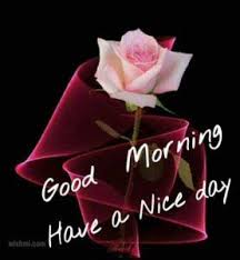 Top 100 New Good Morning Whatsapp Images Wallpapers Picture Photos For Facebook Whatsapp Free Download Good Morning My Love Good Day Wishes Good Morning