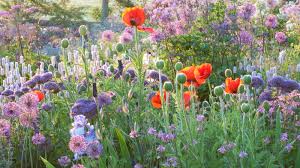 Bambi doe onlyfans She is currently favoritedliked by