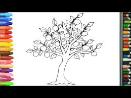Wie Zeichnet Man Apfel Malbuch Farben Lernen Zeichnen Fur Das Baby Ausmalen Fur Kinder Youtube