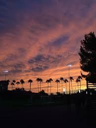 Enjoy and share your favorite beautiful hd wallpapers and background images. Hd Wallpaper Sunset Arizona Phoenix Palm Tree Sky Clouds Southwest Wallpaper Flare