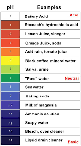 Apple Cider Vinegar Ph Level