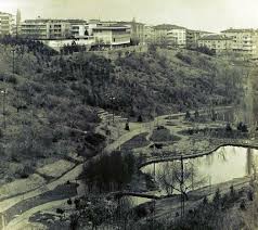 Botanik Parki 1970 Ler Ankara Resim