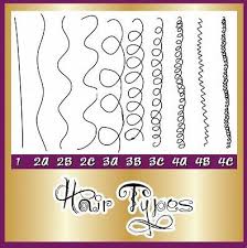 Hair Types Chart 4a 4b 4c Natural Hair Types Curly
