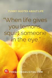 800 Funny Quotes About Life Love And Friend The Saying Quotes Funny Quotes About Life Funny Quotes Fun Quotes Funny