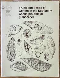 Image result for Fabaceae subfamily Caesalpinioideae