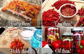 How To Preserve Chile Peppers Cayenne Diane