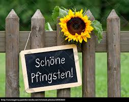 Nun fängt das schöne frühjahr an. Schone Pfingsten Kreidetafel Mit Sonnenblume Im Lizenzfreies Bild 20353643 Bildagentur Panthermedia