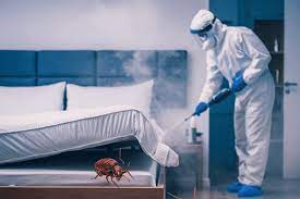 Residential pest control service