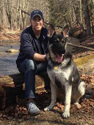 Black And Silver And White German Shepherds Huge Head And Bone For Sale Silver German Shepherd German Shepherd Photography German Shepherd Dogs