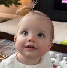 Rose Room Bar in Petoskey now open