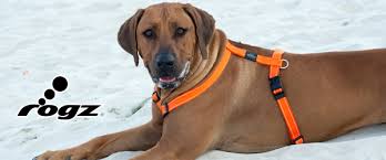 How To Fit A Rogz Harness Rogz