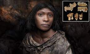An 800 000 Year Old Skeleton Belonged To A Female And Not A Male Study Shows Daily Mail Online