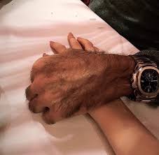 darcey lee (@darceyleex)