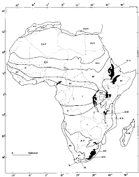 Image result for Chamaecrista zambesica