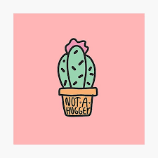54 cactus christmas lights premium high res photos. Tumblr Cactus Photographic Prints Redbubble