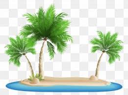 Palm tree png design resources · high quality aesthetic backgrounds and wallpapers, vector illustrations, photos, pngs, mockups, templates and art. Palm Images Palm Transparent Png Free Download