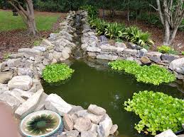 Over time, exposure to weather conditions and algae left to grow and flourish depletes it of oxygen, which again is dangerous and deadly to your fish. Spring Pond Cleaning Macon Ponds