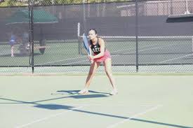 Image result for Isachne buettneri