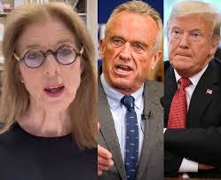 Liz Cheney/Adam Kinzinger Against Trump