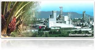 The company operates through four segments: Asia Pages Directory Where To Find Your Location In Asia Let Asia Pages Search You