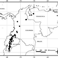 Map coloring is the act of assigning different colors to different features on a map. Pdf A Revision Of Festuca Poaceae Loliinae In South American Paramos