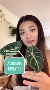 Ever wondered how to make more plant babies? 🌿 Here's how! 🌱 PREP: G...