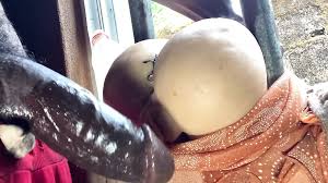 Desi Real Anal Hot Sex Indian Style: Gay Big Cock Porn by FapHouse