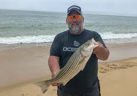 Fishing Report Stripers Moving In Relentlessly The