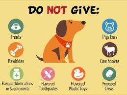 Pet Food Allergies And Intolerances Steves Real Food