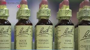 Très satisfaite les fleurs de bach m'ont. Fleurs De Bach Traitement Ou Arnaque