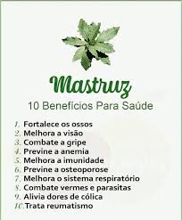 Veja as letras de mastruz com leite e ouça saga de um vaqueiro, olhinhos de fogueira, olha pro céu, arraiá virtuá e muito mais músicas! Mastruz E Encontrado Nas Feiras Receitas E Sabores Do Brasil ÙÛØ³Ø¨ÙˆÚ©