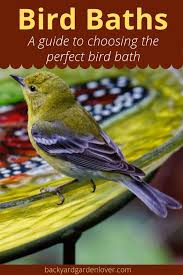 Bird Baths For Bird Lovers A Guide To Choosing The Perfect Bird Bath Bird Bath Garden Bird Bath Backyard Birds