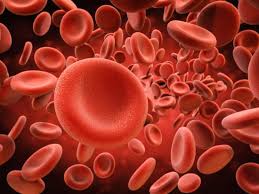 Maybe you would like to learn more about one of these? Anemia Treatments May Arise From Red Blood Cell Discovery