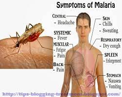 The types of drugs and the length of treatment will vary, depending on: What Is The Malaria Symptoms All About Literacybase