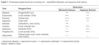 Image result for Vernonia nepetifolia