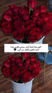 ورد جوري Beautiful Flowers Cloud Wallpaper Arabic Quotes