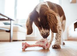 Are raw beef bones safe for dogs? - Bold by Nature